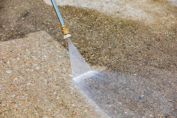 Best Driveway Pressure Washing  in Savage, MN